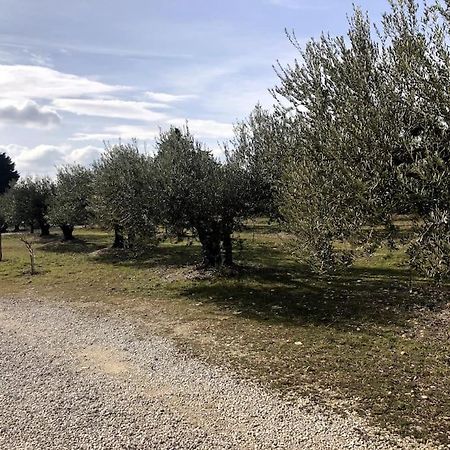 Appartement Au Milieu Des Oliviers Rasteau Bagian luar foto