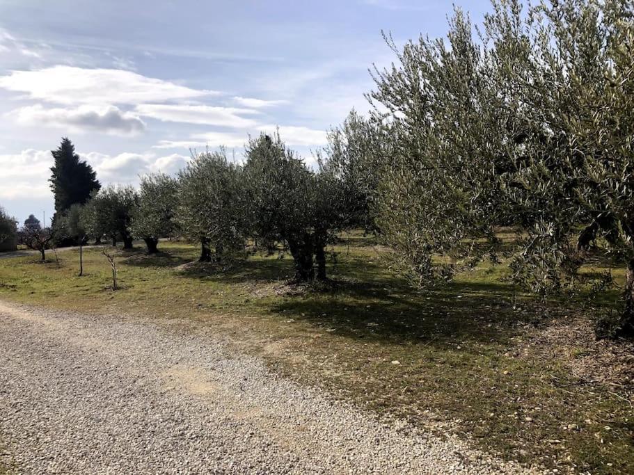 Appartement Au Milieu Des Oliviers Rasteau Bagian luar foto